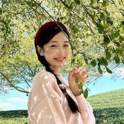 迪兹先生进城